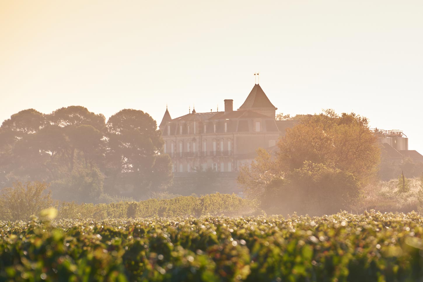 Domaine la Provenquière